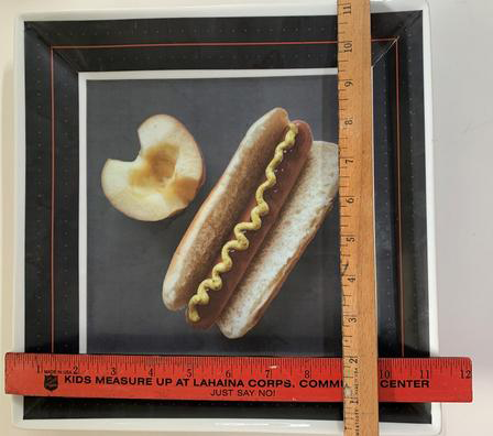 custom printer hotdog plate