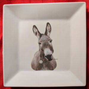 Custom Printed Cute Donkey On Square Plate